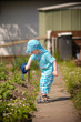 Foto: Kind gießt im Garten Kind gießt im Garten