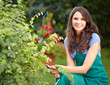 Young female gardener cutting a bush