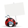 coccinella cartello