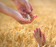 Prayer to the provider