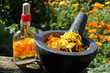 Ringelblumenblütenöl_Homöopathikum (Naturheilkunde)