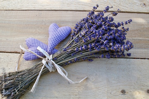 Photo: Lavendel Lavendel