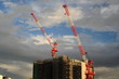 Foto: Crane-40 Crane-40