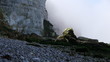 Vídeo : Steep cliffs at the rocky beach Steep cliffs at the rocky beach