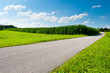 Asphalt Path