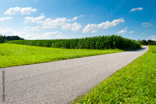 Photo: Asphalt Path Asphalt Path