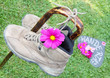 Wandertag