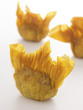 fried wantons