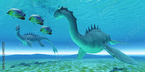 Illustration: Sea Dragon Fight Sea Dragon Fight