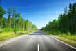 road in forest