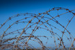 Photo: filo spinato filo spinato