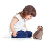 Funny child sitting on floor. Scottish kitten looking at girl.