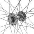 Die Fahrradspeichen
