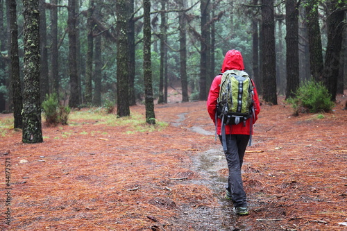 Photo: Hiking in rain Hiking in rain