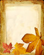 old album with dry autumn leaves