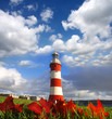 Foto: Plymouth lighthouse in Devon, England Plymouth lighthouse in Devon, England