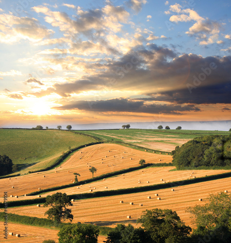 Photo: Landscape with straw bales against sunset Landscape with straw bales against sunset