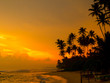 Beautiful tropical sunset