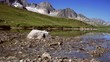 Gebirgslandschaft Furka - Bergsee