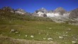 Hochgebirge Furkapass Schweiz