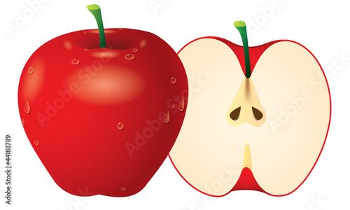 Vector: Apple vector Apple vector
