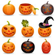 Vector: Collect Pumpkin for Halloween Collect Pumpkin for Halloween