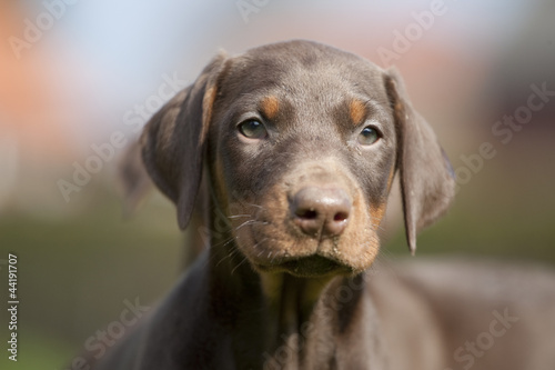 Photo: Portrait Portrait