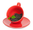 Teacup with black tea
