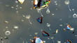 Butterflies in the night