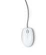 Фото: Computer mouse isolated on white background Computer mouse isolated on white background