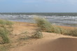 Dunes de Saint Jean de Monts