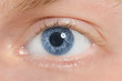 Photo: The human eye is blue, close-up The human eye is blue, close-up