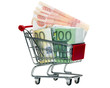 Shopping Cart with money