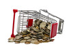 Shopping Cart with money