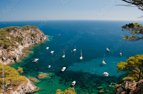 Photo: calanque de Porquerolles calanque de Porquerolles