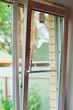 plastic window