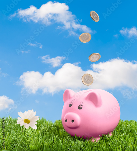 Photo: Piggy Bank Piggy Bank