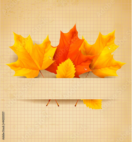 Vector: Autumn leaves on a old paper Back to school Vector Autumn leaves on a old paper Back to school Vector