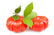 tomatoes and laurel