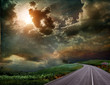 Summer landscape with old road