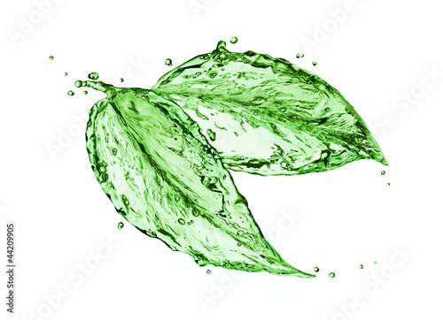 Photo: Green leaf Green leaf