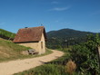 Photo: Rebhaus im Römerberg Rebhaus im Römerberg