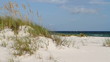 Gulf Of Mexico Dunes