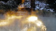 Winter Beauty Scene