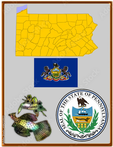 Vector: USA state Pennsylvania flag map coat bird USA state Pennsylvania flag map coat bird
