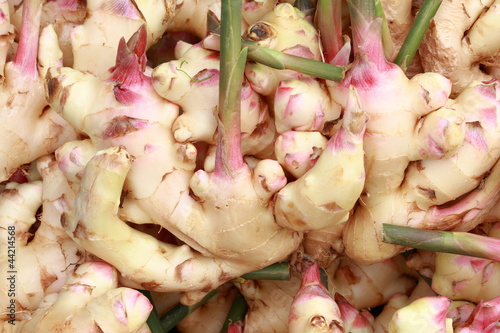 Photo: galangal textured galangal textured