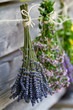Herbs drying on the wooden barn in the garden