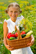 Vegetable garden - lovely girl with picked vegetables in basket
