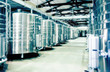 Photo: wine production wine production