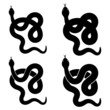 vector snake black silhouettes